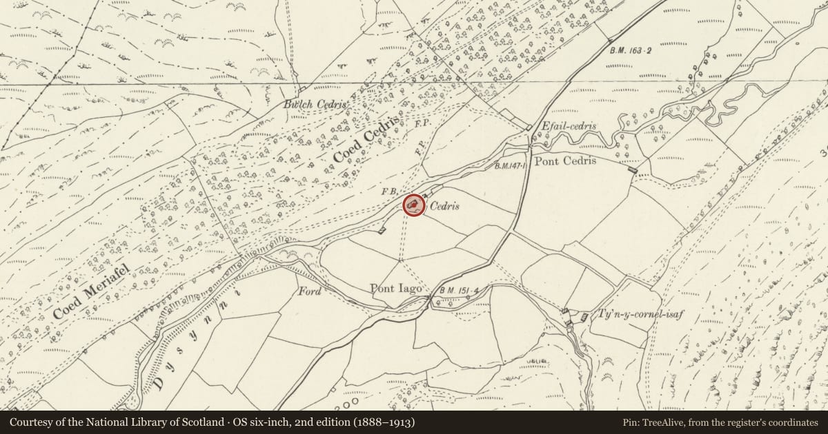 Ordnance Survey six-inch map, 2nd edition (1888–1913) covering the location of Cedris, Llanfihangel-y-Pennant, Gwynedd, with a pin at the register's coordinates