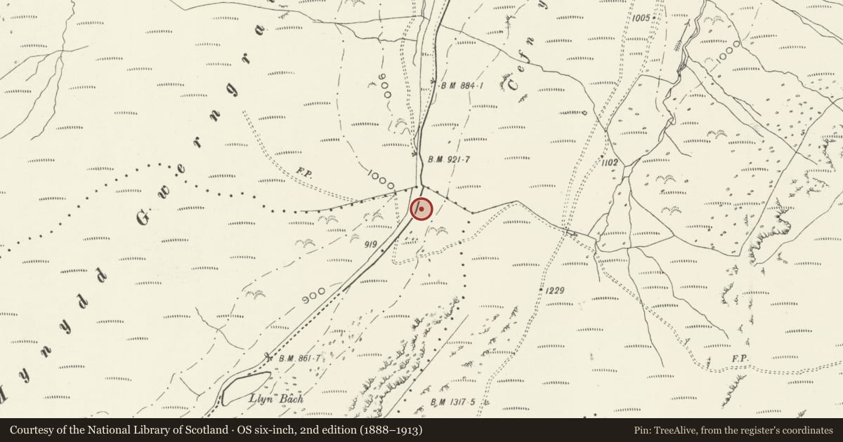Ordnance Survey six-inch map, 2nd edition (1888–1913) covering the location of Mile Marker, Llanfihangel-y-Pennant, Gwynedd, with a pin at the register's coordinates
