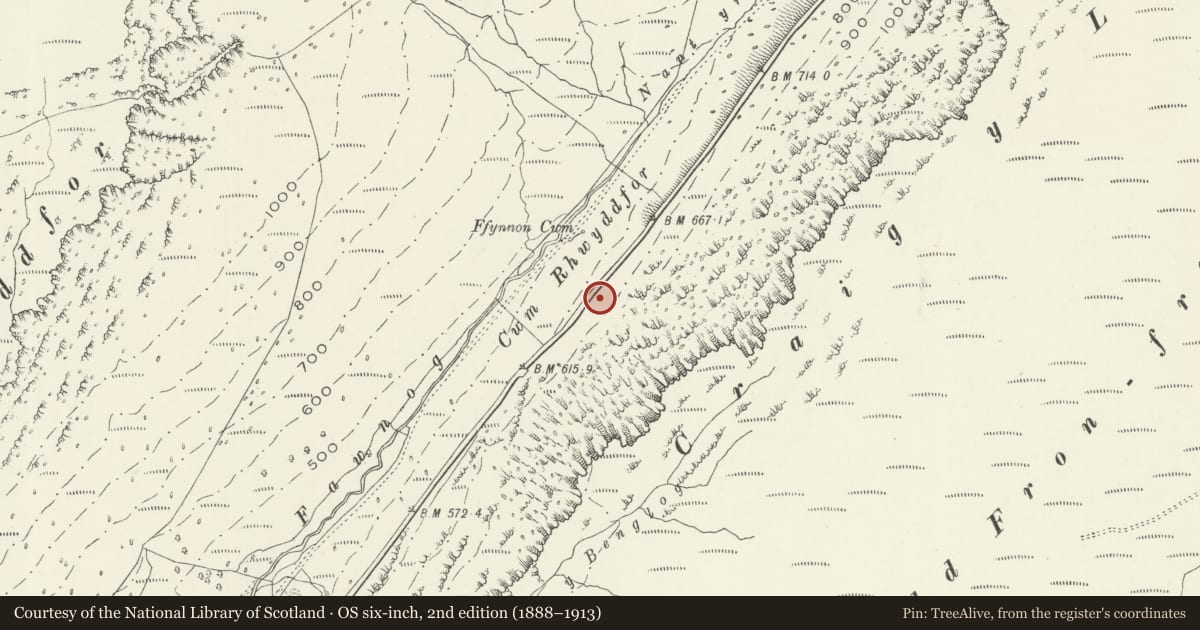 Ordnance Survey six-inch map, 2nd edition (1888–1913) covering the location of Mile Marker, Llanfihangel-y-Pennant, Gwynedd, with a pin at the register's coordinates