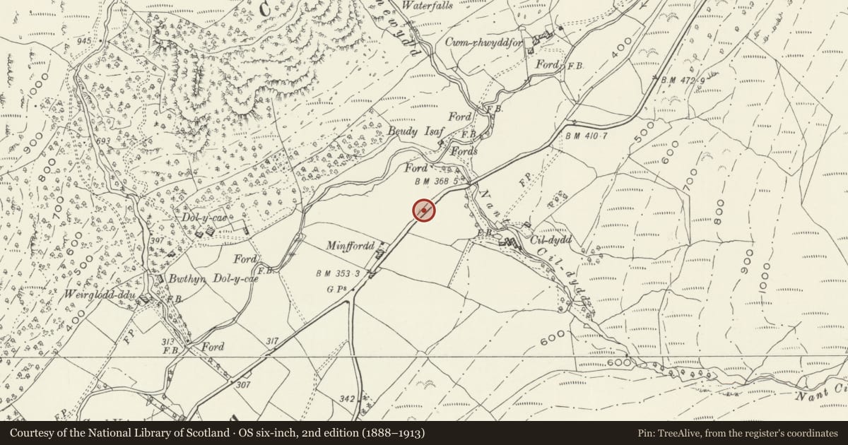 Ordnance Survey six-inch map, 2nd edition (1888–1913) covering the location of Mile Marker, Llanfihangel-y-Pennant, Gwynedd, with a pin at the register's coordinates