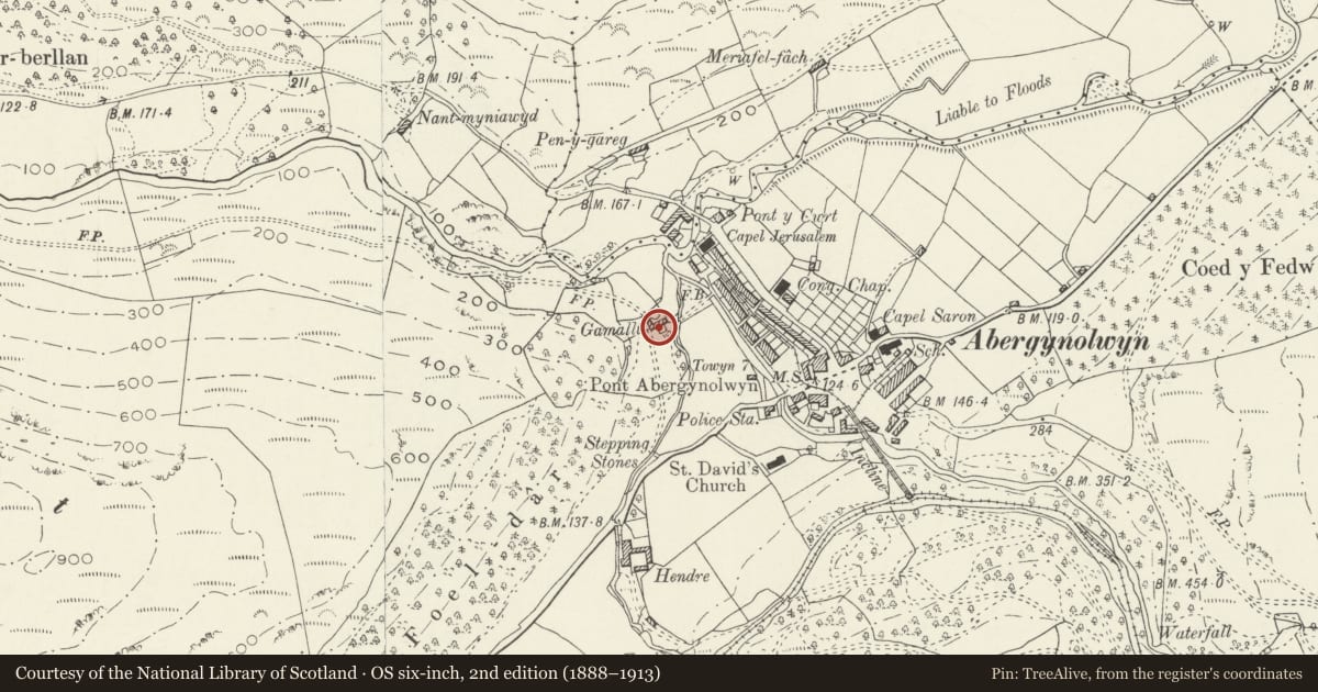 Ordnance Survey six-inch map, 2nd edition (1888–1913) covering the location of Gamallt House, Llanfihangel-y-Pennant, Gwynedd, with a pin at the register's coordinates