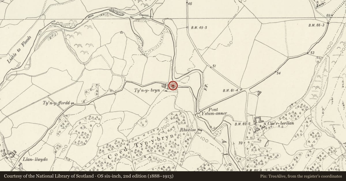 Ordnance Survey six-inch map, 2nd edition (1888–1913) covering the location of Ty'n-y-bryn, Llanfihangel-y-Pennant, Gwynedd, with a pin at the register's coordinates