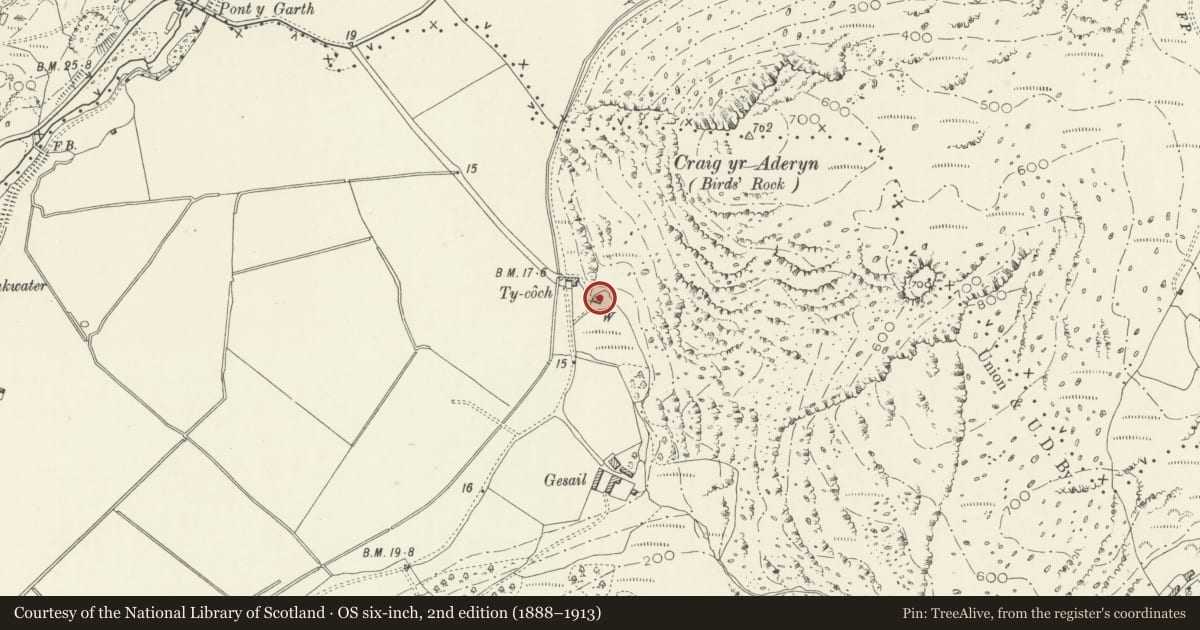 Ordnance Survey six-inch map, 2nd edition (1888–1913) covering the location of Ty-coch, Llanfihangel-y-Pennant, Gwynedd, with a pin at the register's coordinates