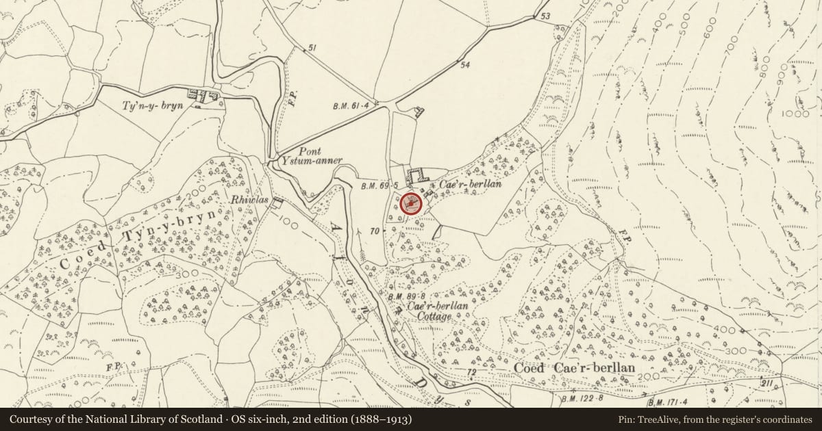 Ordnance Survey six-inch map, 2nd edition (1888–1913) covering the location of Ty ffon at Cae'r Berllan, Llanfihangel-y-Pennant, Gwynedd, with a pin at the register's coordinates