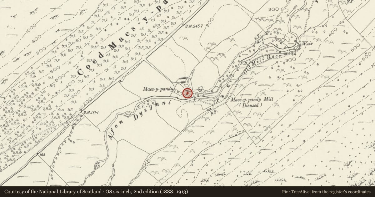 Ordnance Survey six-inch map, 2nd edition (1888–1913) covering the location of Yr ysgoldy at Maes-y-Pandy, Llanfihangel-y-Pennant, Gwynedd, with a pin at the register's coordinates