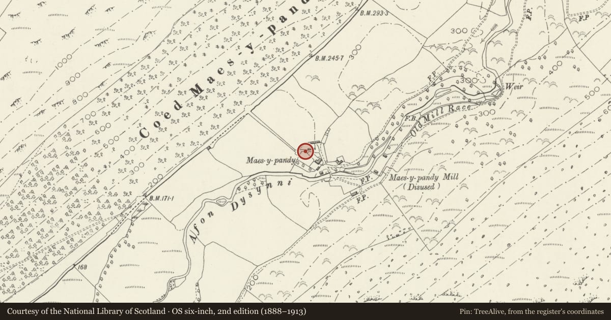 Ordnance Survey six-inch map, 2nd edition (1888–1913) covering the location of Bee boles at Maes-y-pandy, Llanfihangel-y-Pennant, Gwynedd, with a pin at the register's coordinates
