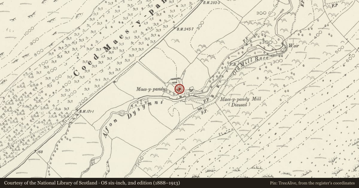 Ordnance Survey six-inch map, 2nd edition (1888–1913) covering the location of Maes-y-pandy Farmhouse, Llanfihangel-y-Pennant, Gwynedd, with a pin at the register's coordinates