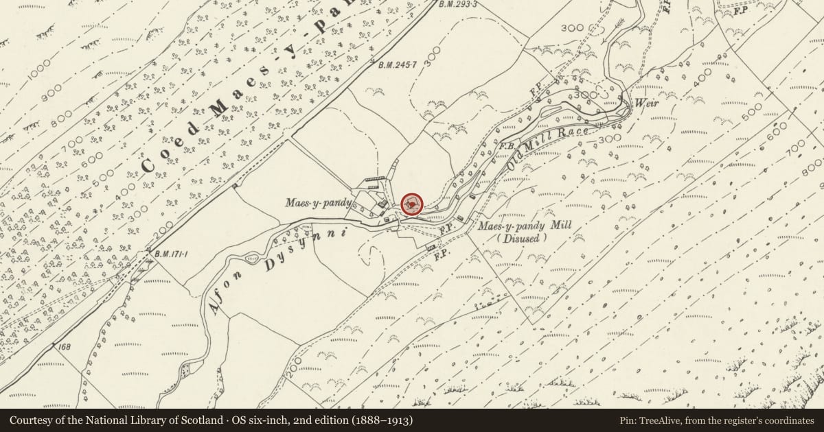 Ordnance Survey six-inch map, 2nd edition (1888–1913) covering the location of Barn at Maes-y-pandy, Llanfihangel-y-Pennant, Gwynedd, with a pin at the register's coordinates