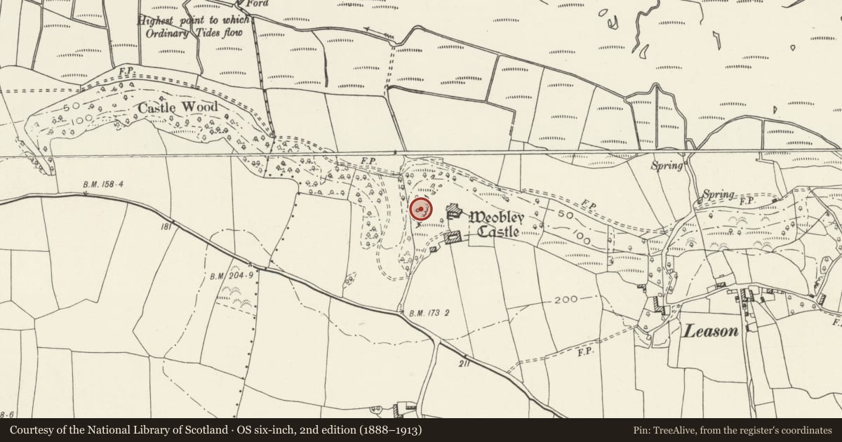 Ordnance Survey six-inch map, 2nd edition (1888–1913) covering the location of Limekiln below Weobley Castle, Llanrhidian Lower, Swansea, with a pin at the register's coordinates