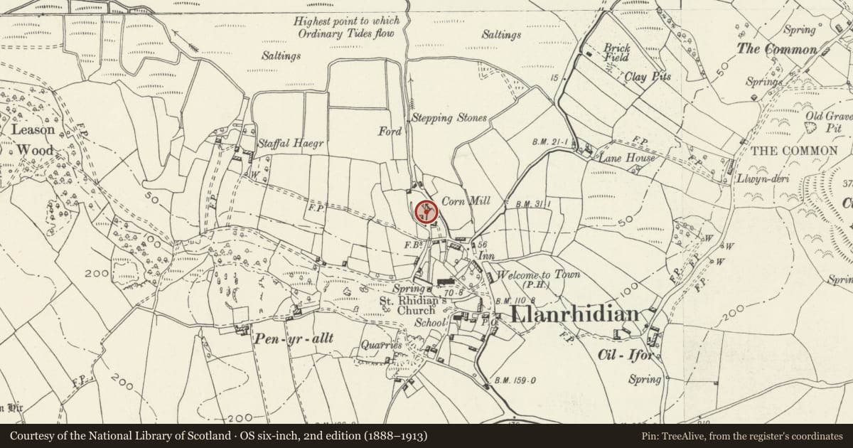 Ordnance Survey six-inch map, 2nd edition (1888–1913) covering the location of Retaining wall and pool of Llanrhidian Lower Mill, Swansea, with a pin at the register's coordinates