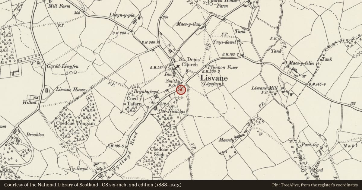 Ordnance Survey six-inch map, 2nd edition (1888–1913) covering the location of Carn Ingli, Lisvane, Cardiff, with a pin at the register's coordinates