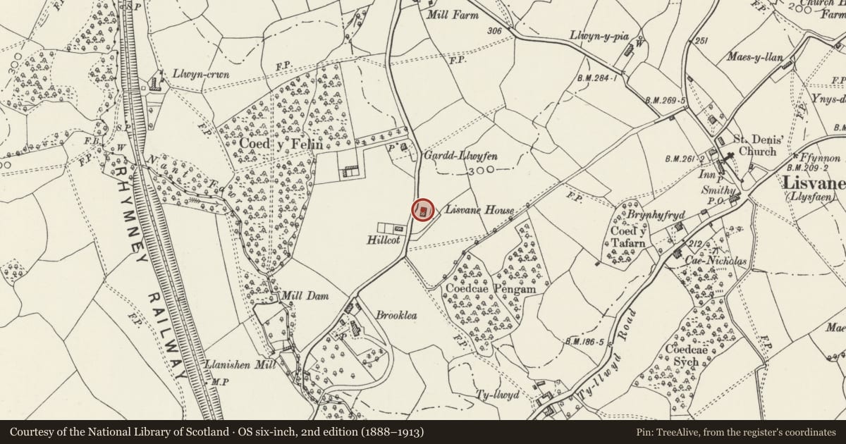 Ordnance Survey six-inch map, 2nd edition (1888–1913) covering the location of Lisvane House, Cardiff, with a pin at the register's coordinates