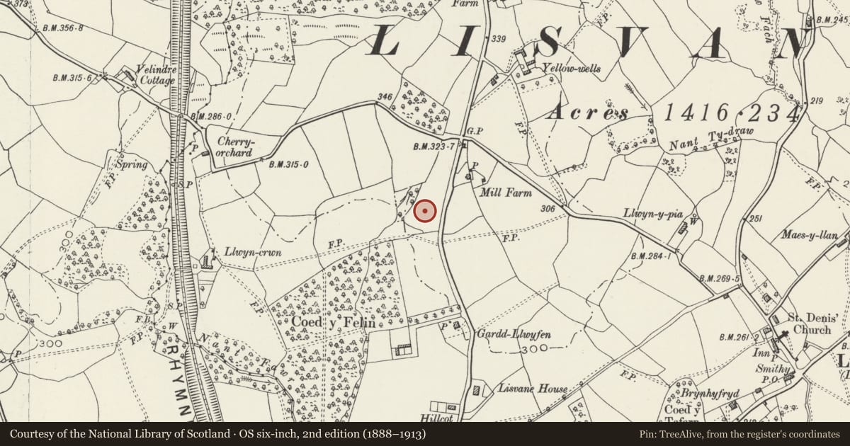 Ordnance Survey six-inch map, 2nd edition (1888–1913) covering the location of The Dingle, Lisvane, Cardiff, with a pin at the register's coordinates