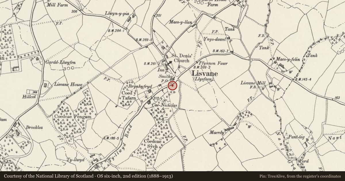 Ordnance Survey six-inch map, 2nd edition (1888–1913) covering the location of Cerrig Llwyd, Lisvane, Cardiff, with a pin at the register's coordinates