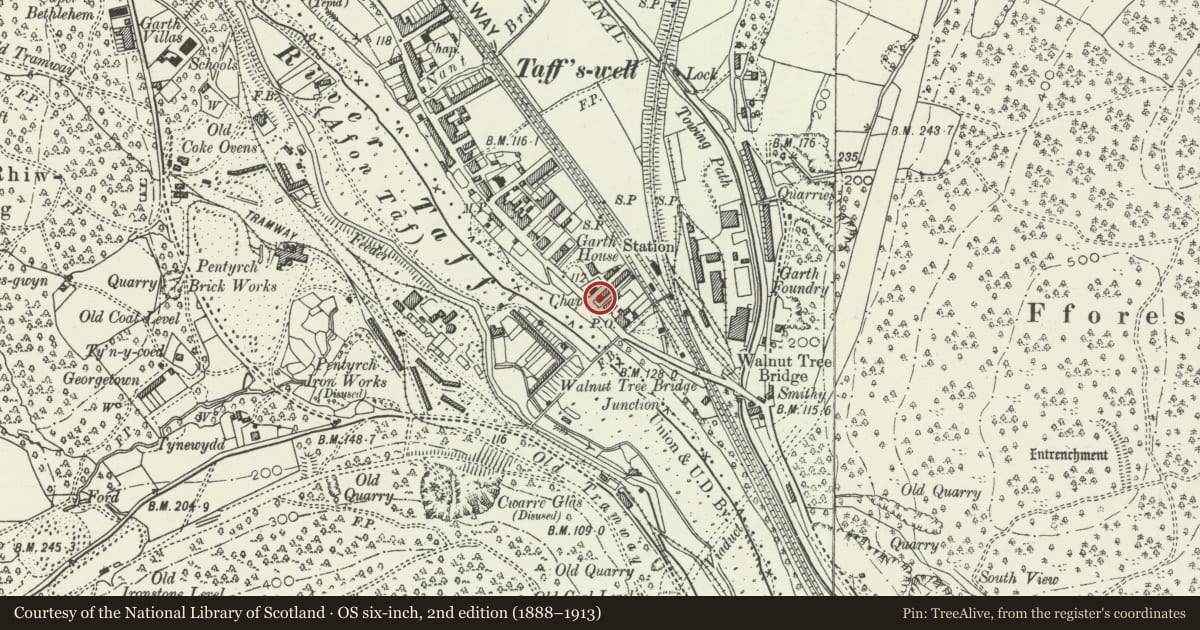 Ordnance Survey six-inch map, 2nd edition (1888–1913) covering the location of Ardwell Cottage, Taffs Well, Rhondda Cynon Taff, with a pin at the register's coordinates