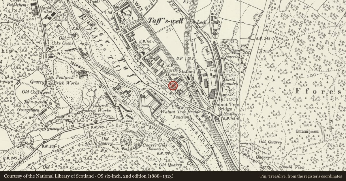 Ordnance Survey six-inch map, 2nd edition (1888–1913) covering the location of 2 Alfred's Terrace, Taffs Well, Rhondda Cynon Taff, with a pin at the register's coordinates