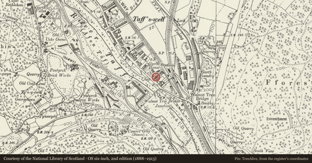 Ordnance Survey six-inch map, 2nd edition (1888–1913) covering the location of 3 Alfred's Terrace, Taffs Well, Rhondda Cynon Taff, with a pin at the register's coordinates