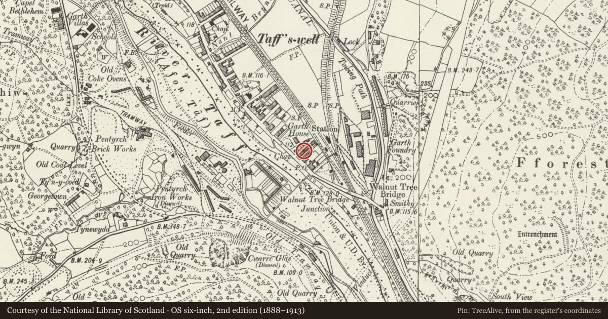 Ordnance Survey six-inch map, 2nd edition (1888–1913) covering the location of 4 Alfred's Terrace, Taffs Well, Rhondda Cynon Taff, with a pin at the register's coordinates