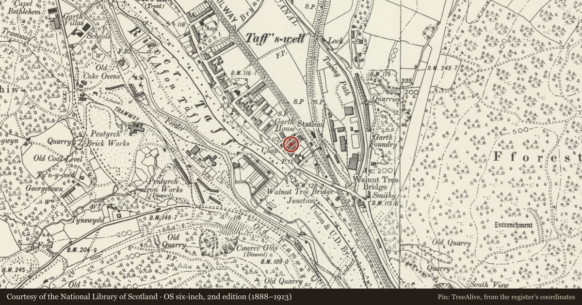 Ordnance Survey six-inch map, 2nd edition (1888–1913) covering the location of 5 Alfred's Terrace, Taffs Well, Rhondda Cynon Taff, with a pin at the register's coordinates