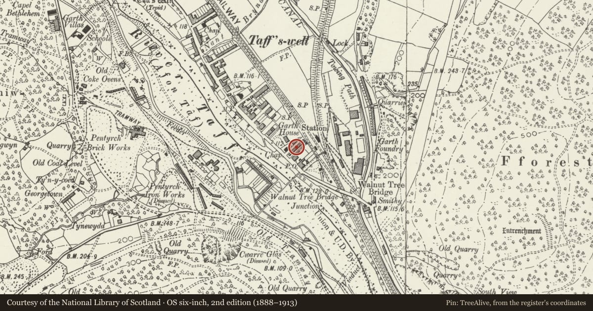 Ordnance Survey six-inch map, 2nd edition (1888–1913) covering the location of 6 Alfred's Terrace, Taffs Well, Rhondda Cynon Taff, with a pin at the register's coordinates