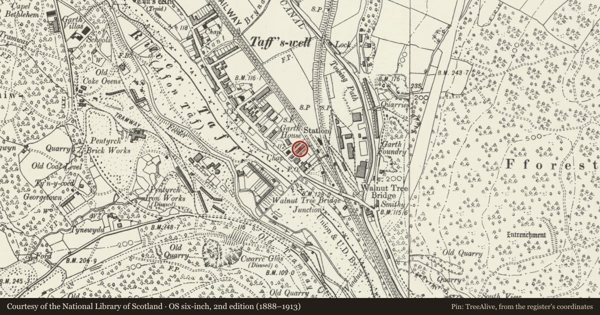 Ordnance Survey six-inch map, 2nd edition (1888–1913) covering the location of 7 Alfred's Terrace, Taffs Well, Rhondda Cynon Taff, with a pin at the register's coordinates