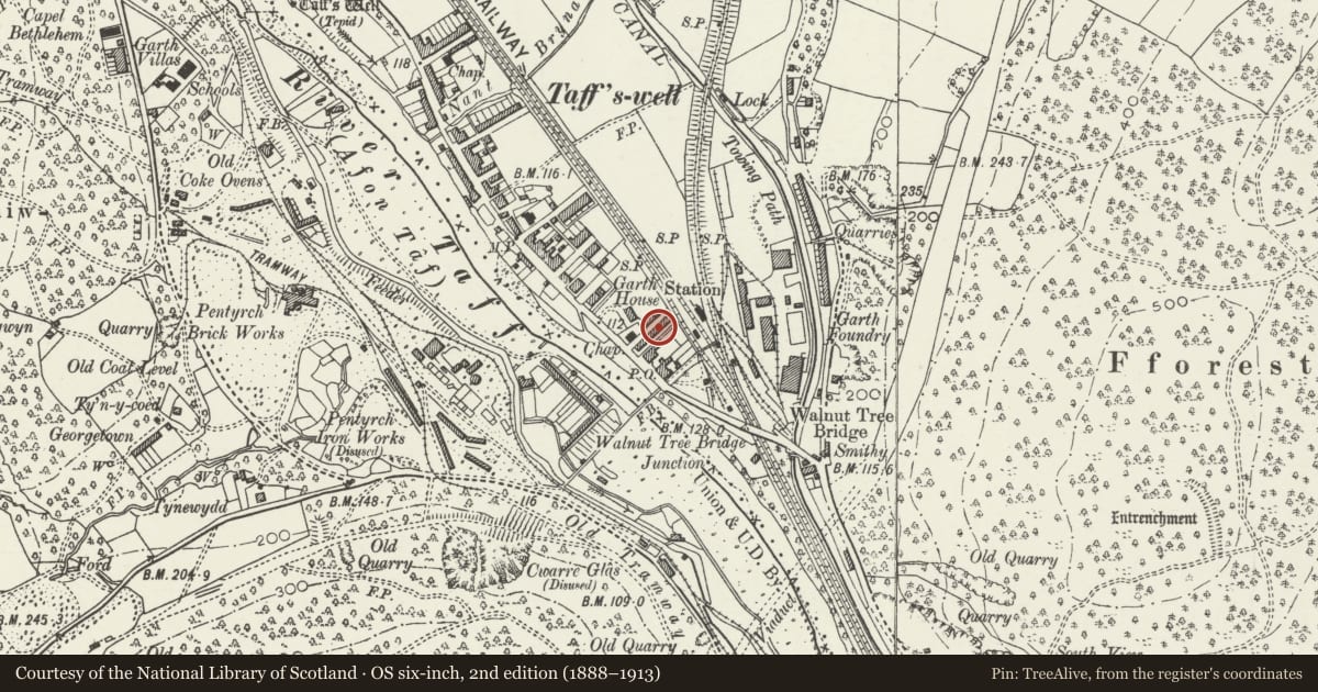 Ordnance Survey six-inch map, 2nd edition (1888–1913) covering the location of 8 Alfred's Terrace, Taffs Well, Rhondda Cynon Taff, with a pin at the register's coordinates