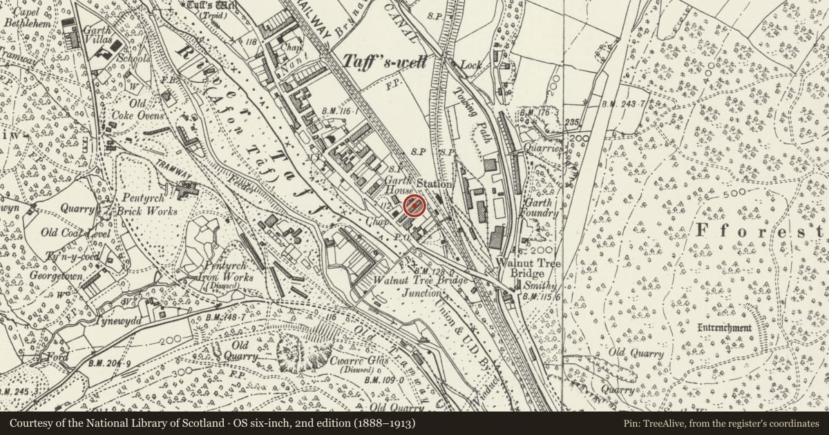 Ordnance Survey six-inch map, 2nd edition (1888–1913) covering the location of 9 Alfred's Terrace, Taffs Well, Rhondda Cynon Taff, with a pin at the register's coordinates