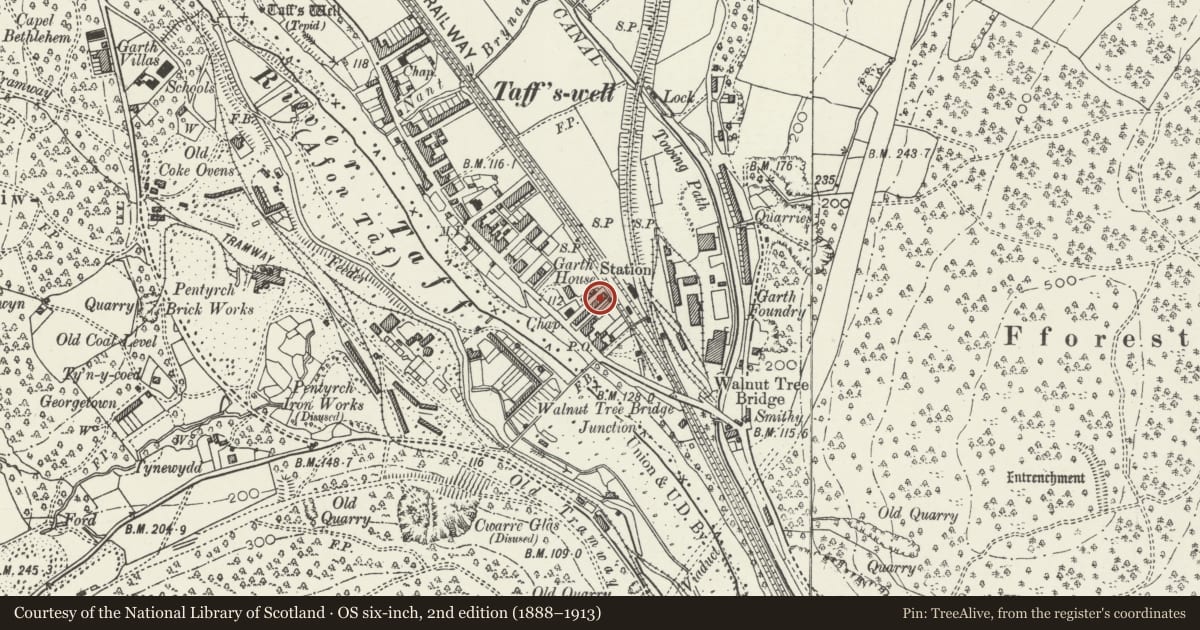 Ordnance Survey six-inch map, 2nd edition (1888–1913) covering the location of 10 Alfred's Terrace, Taffs Well, Rhondda Cynon Taff, with a pin at the register's coordinates