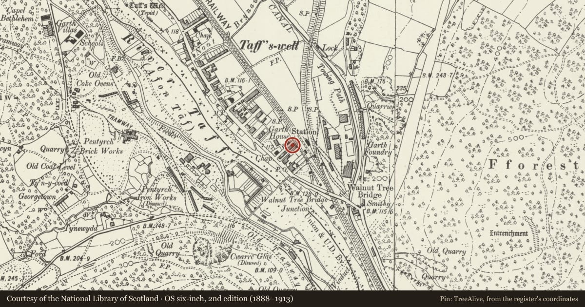 Ordnance Survey six-inch map, 2nd edition (1888–1913) covering the location of 11 Alfred's Terrace, Taffs Well, Rhondda Cynon Taff, with a pin at the register's coordinates