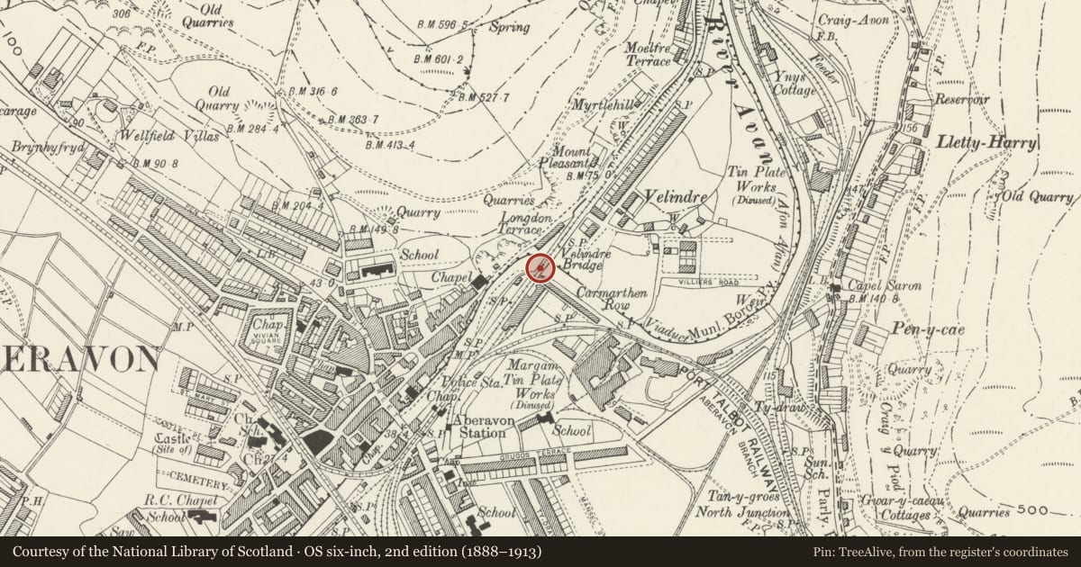 Ordnance Survey six-inch map, 2nd edition (1888–1913) covering the location of Velindre Bridge, Port Talbot, Neath Port Talbot, with a pin at the register's coordinates
