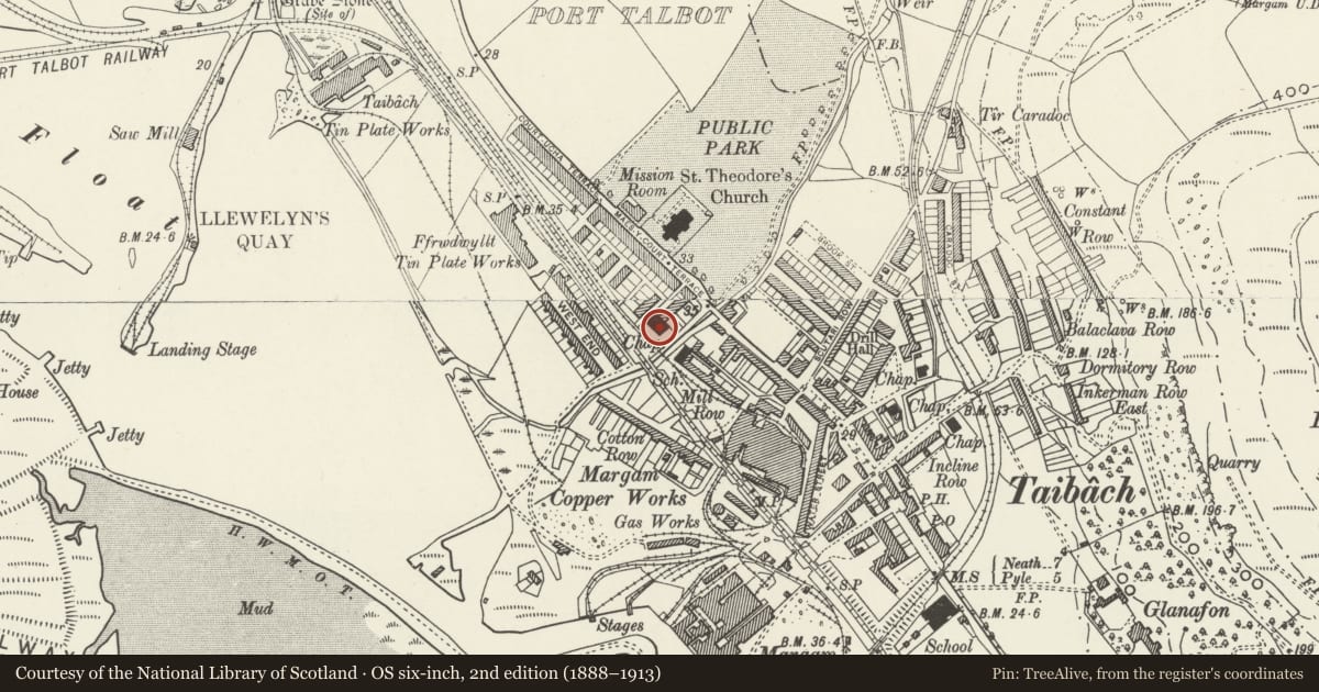 Ordnance Survey six-inch map, 2nd edition (1888–1913) covering the location of Dyffryn Chapel, Port Talbot, Neath Port Talbot, with a pin at the register's coordinates