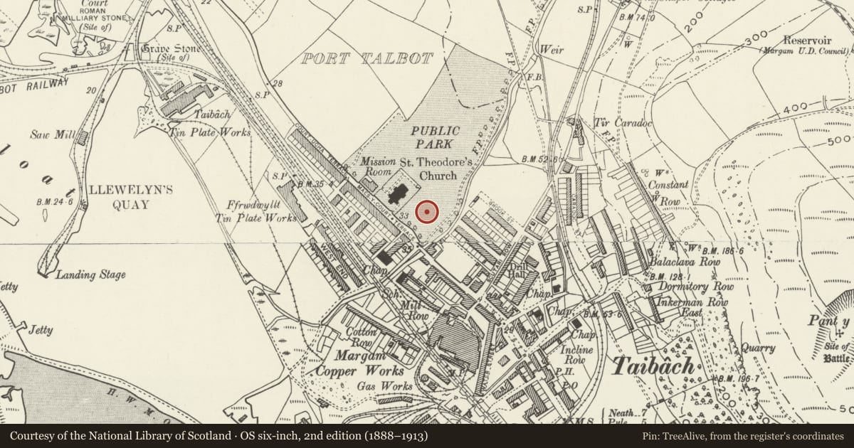 Ordnance Survey six-inch map, 2nd edition (1888–1913) covering the location of War Memorial, Port Talbot, Neath Port Talbot, with a pin at the register's coordinates