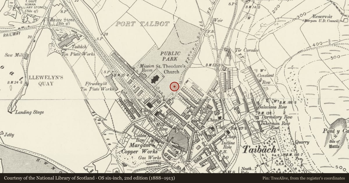 Ordnance Survey six-inch map, 2nd edition (1888–1913) covering the location of Fountain in Honour of John Hopkin Davies, Port Talbot, Neath Port Talbot, with a pin at the register's coordinates