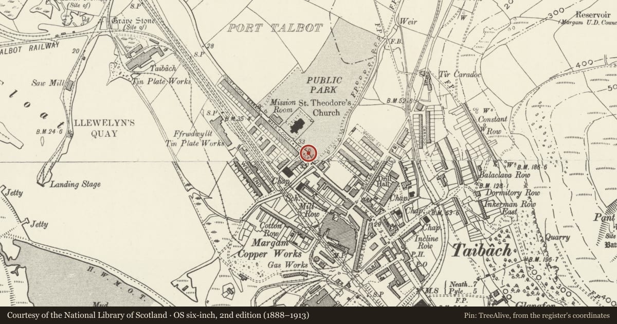 Ordnance Survey six-inch map, 2nd edition (1888–1913) covering the location of Lodge 2, Talbot Memorial Park, Port Talbot, Neath Port Talbot, with a pin at the register's coordinates