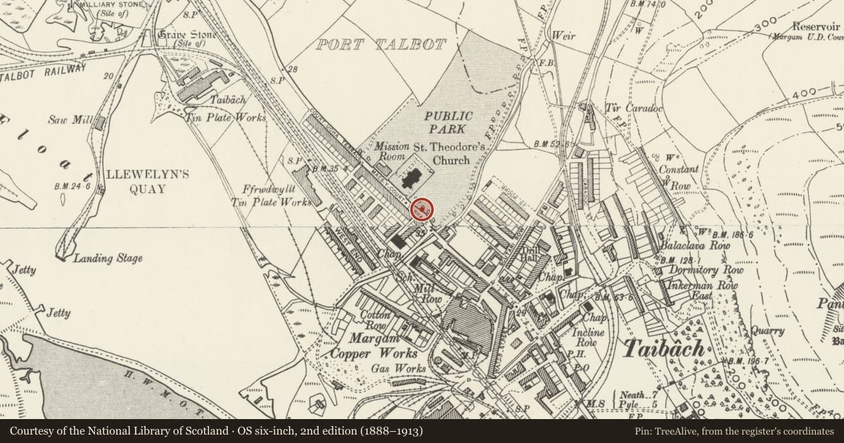 Ordnance Survey six-inch map, 2nd edition (1888–1913) covering the location of Lodge 1, Talbot Memorial Park, Port Talbot, Neath Port Talbot, with a pin at the register's coordinates