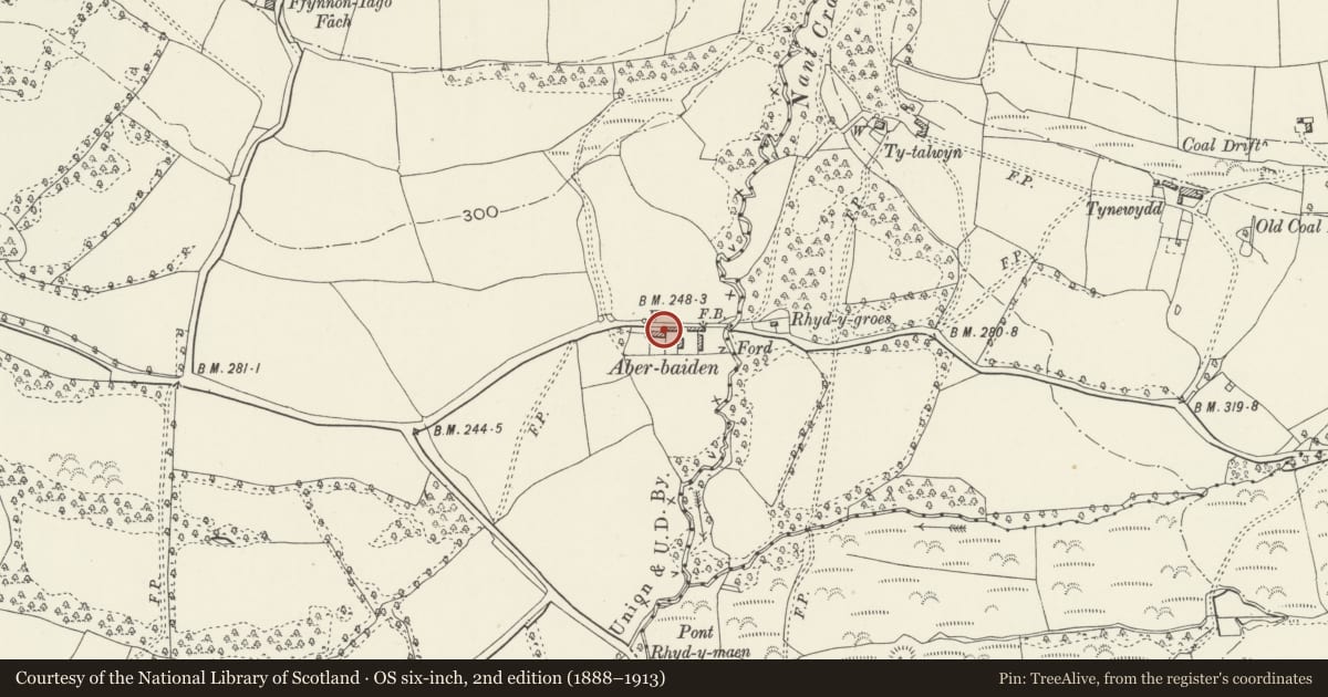 Ordnance Survey six-inch map, 2nd edition (1888–1913) covering the location of Aberbaiden, Margam, Neath Port Talbot, with a pin at the register's coordinates