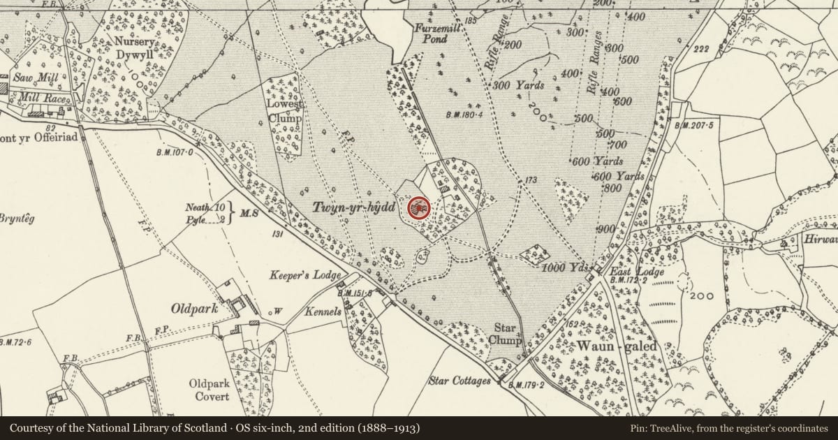 Ordnance Survey six-inch map, 2nd edition (1888–1913) covering the location of Twyn yr Hydd, Margam, Neath Port Talbot, with a pin at the register's coordinates