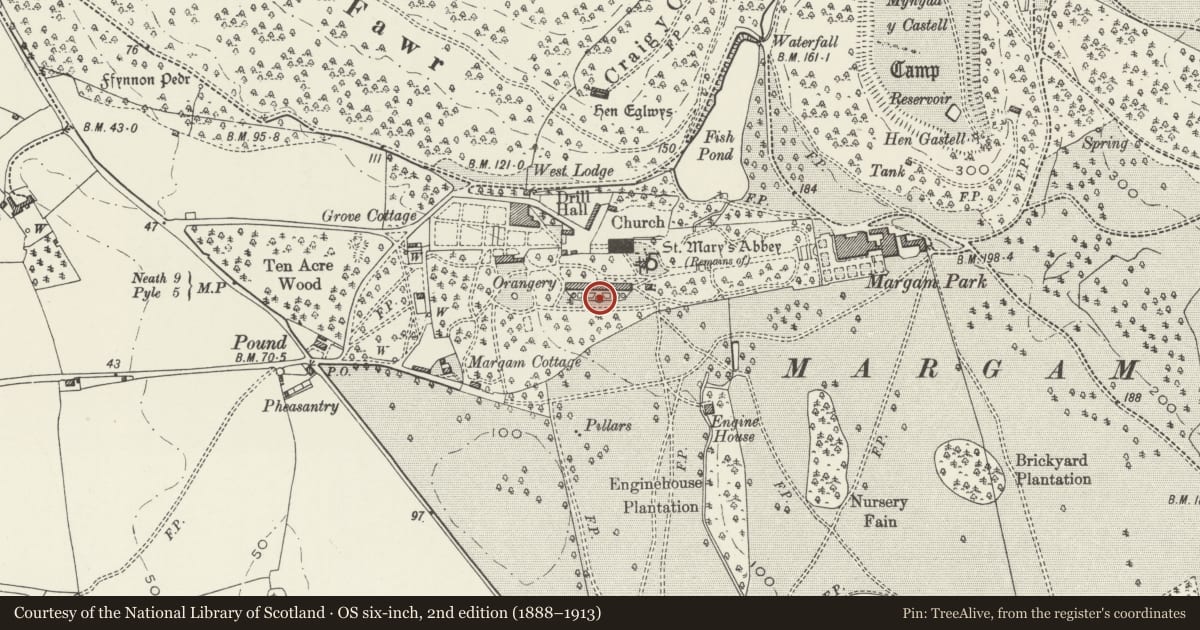 Ordnance Survey six-inch map, 2nd edition (1888–1913) covering the location of Terrace with Pools and Flower Beds Fronting Margam Orangery, Neath Port Talbot, with a pin at the register's coordinates