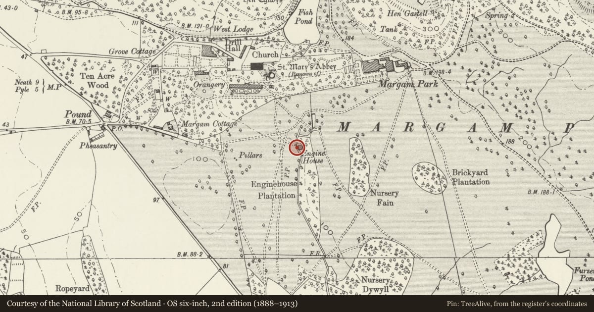 Ordnance Survey six-inch map, 2nd edition (1888–1913) covering the location of Turbine House, Margam, Neath Port Talbot, with a pin at the register's coordinates