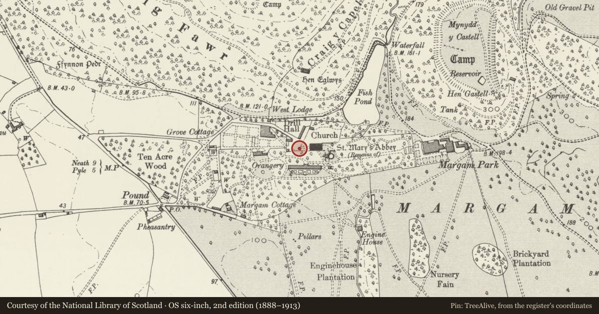 Ordnance Survey six-inch map, 2nd edition (1888–1913) covering the location of War Memorial, Margam, Neath Port Talbot, with a pin at the register's coordinates