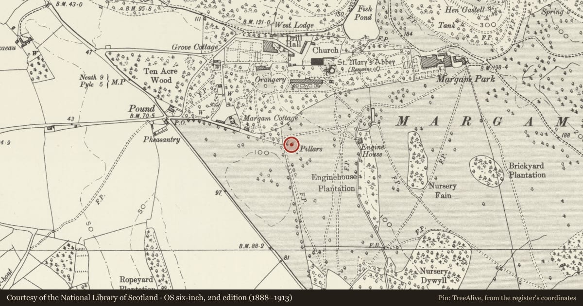 Ordnance Survey six-inch map, 2nd edition (1888–1913) covering the location of Pair of Gate Piers to the Former Margam House, Neath Port Talbot, with a pin at the register's coordinates