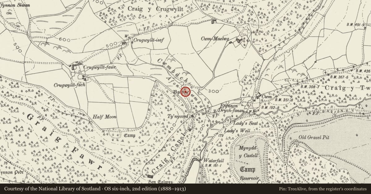 Ordnance Survey six-inch map, 2nd edition (1888–1913) covering the location of Monastic Baths, Margam, Neath Port Talbot, with a pin at the register's coordinates