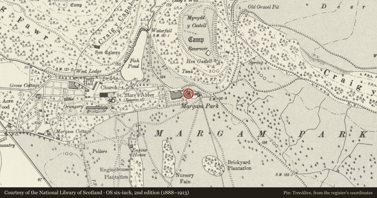 Ordnance Survey six-inch map, 2nd edition (1888–1913) covering the location of Service Buildings including Courtyard Walls at Margam Castle, Neath Port Talbot, with a pin at the register's coordinates