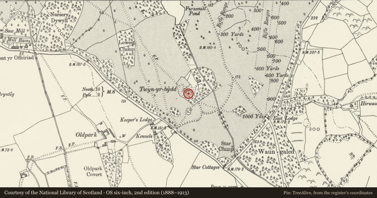 Ordnance Survey six-inch map, 2nd edition (1888–1913) covering the location of Garden Wall at Twyn yr Hydd, Margam, Neath Port Talbot, with a pin at the register's coordinates