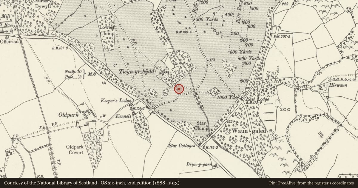 Ordnance Survey six-inch map, 2nd edition (1888–1913) covering the location of Entrance to Twyn yr Hydd and Flanking Walls, Margam, Neath Port Talbot, with a pin at the register's coordinates
