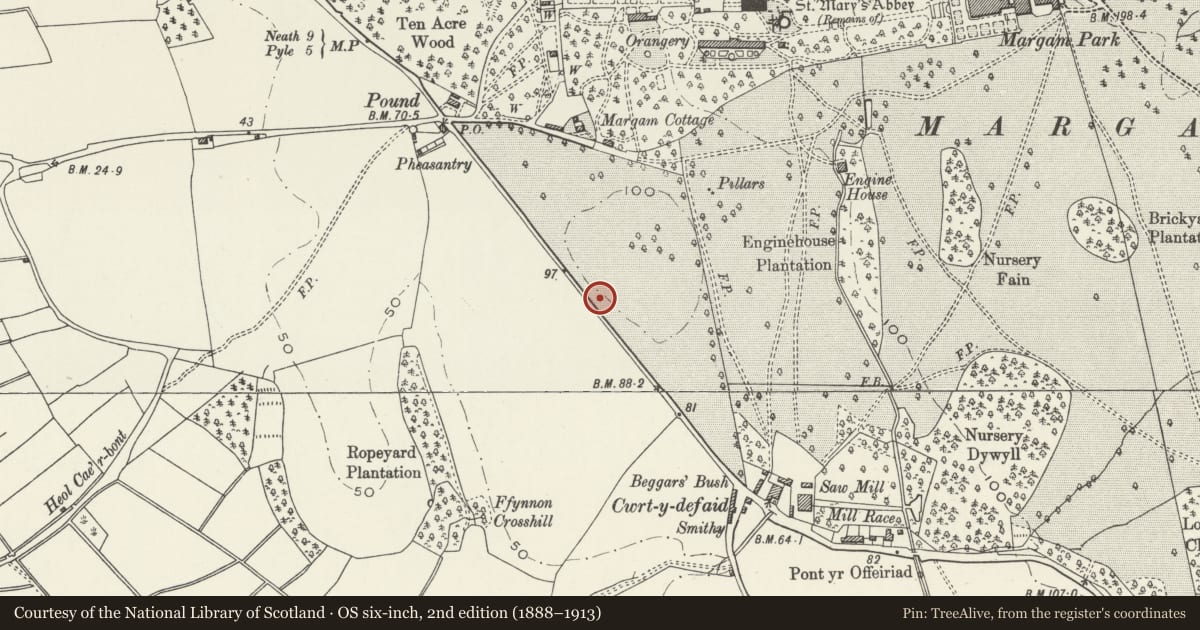 Ordnance Survey six-inch map, 2nd edition (1888–1913) covering the location of Milepost near Margam Park Entrance, Neath Port Talbot, with a pin at the register's coordinates