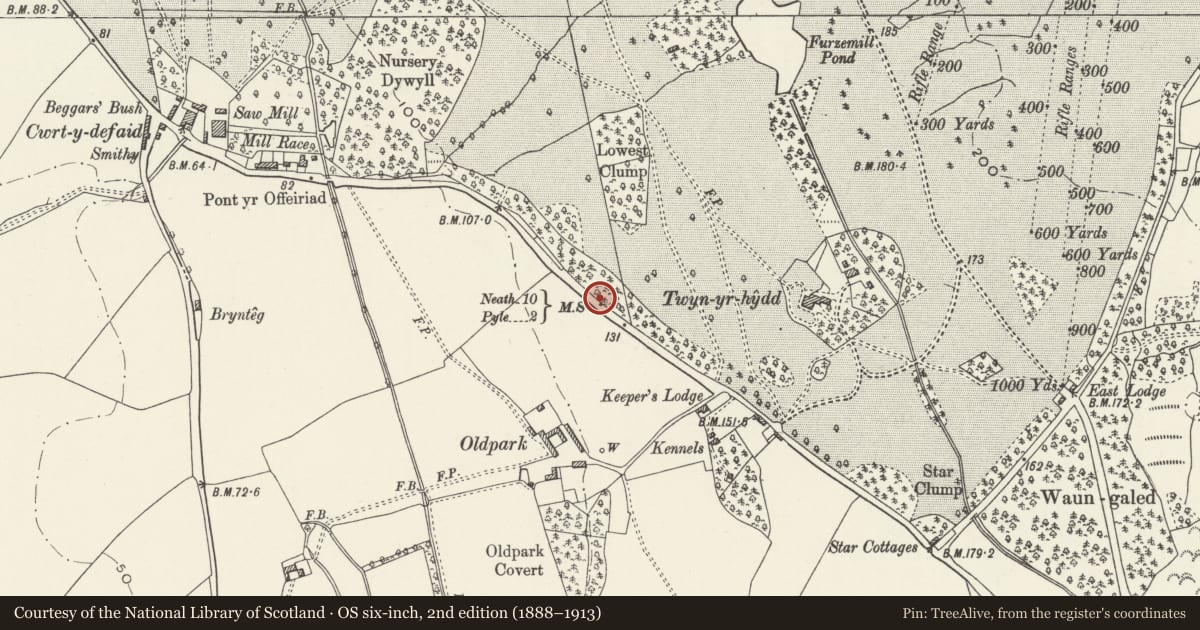 Ordnance Survey six-inch map, 2nd edition (1888–1913) covering the location of Milepost near Old Park, Margam, Neath Port Talbot, with a pin at the register's coordinates