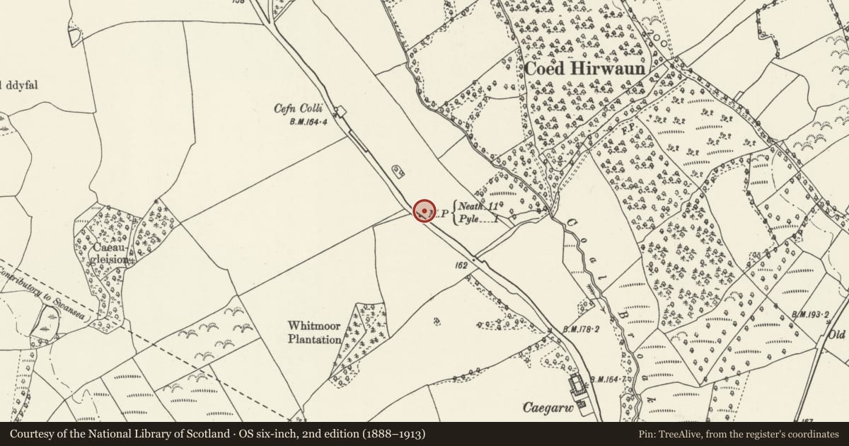 Ordnance Survey six-inch map, 2nd edition (1888–1913) covering the location of Milepost near Cae Garw, Margam, Neath Port Talbot, with a pin at the register's coordinates