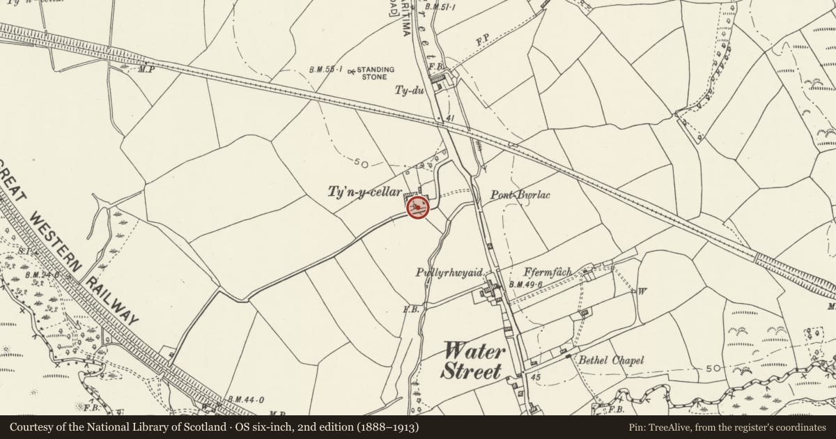 Ordnance Survey six-inch map, 2nd edition (1888–1913) covering the location of Granary at Ty'n y Cellar, Margam, Neath Port Talbot, with a pin at the register's coordinates