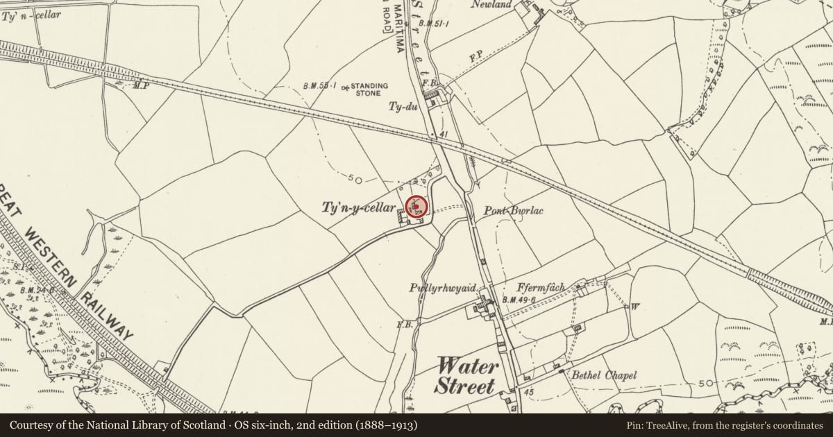 Ordnance Survey six-inch map, 2nd edition (1888–1913) covering the location of Former Cow-house at Ty'n y Cellar, Margam, Neath Port Talbot, with a pin at the register's coordinates